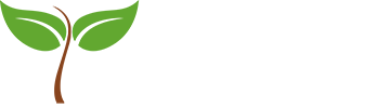 Konjac Jelly